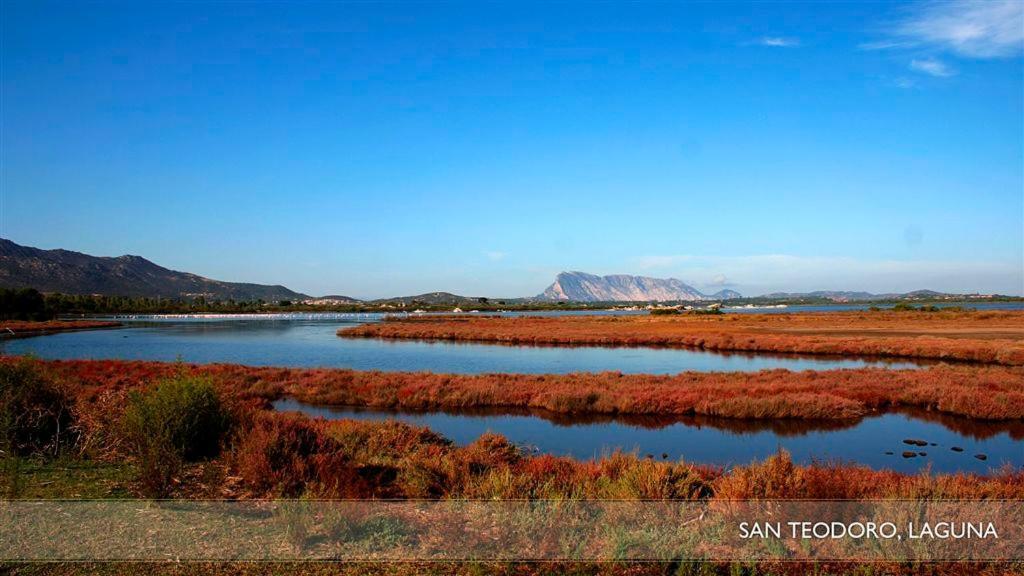 Li Teggi Turismo Rurale San Teodoro  Exterior foto